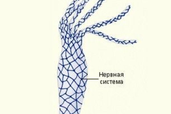 Kraken официальные зеркала
