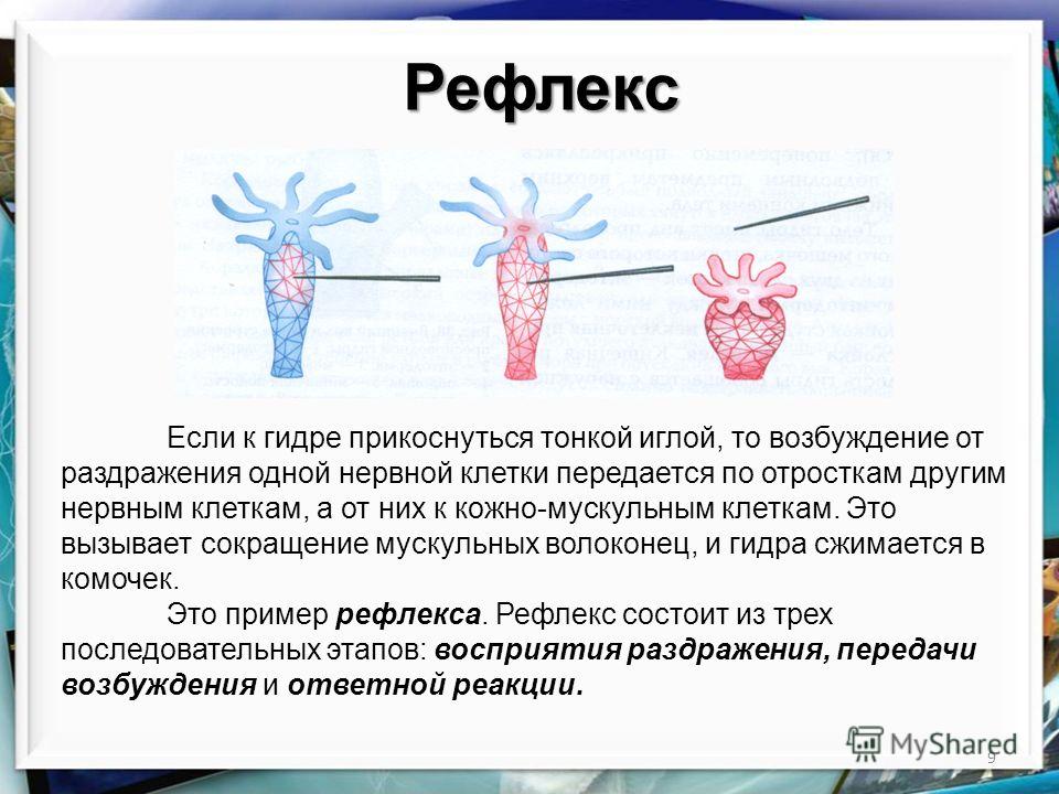 Кракен макет плейс