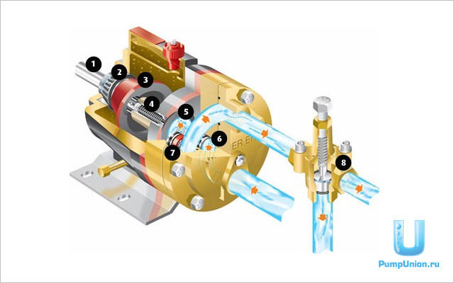 Как выводить деньги с кракена